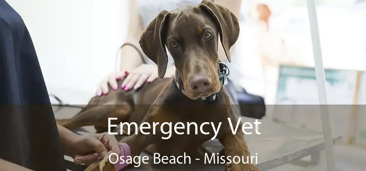 Emergency Vet Osage Beach - Missouri
