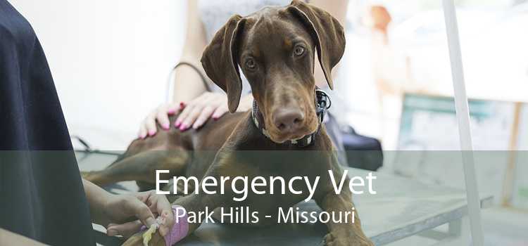 Emergency Vet Park Hills - Missouri
