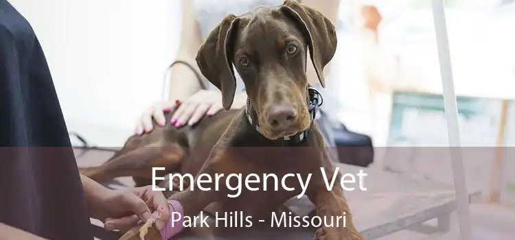 Emergency Vet Park Hills - Missouri