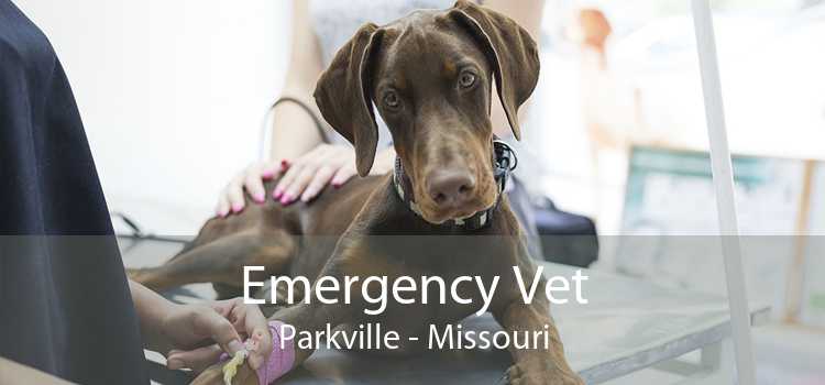 Emergency Vet Parkville - Missouri