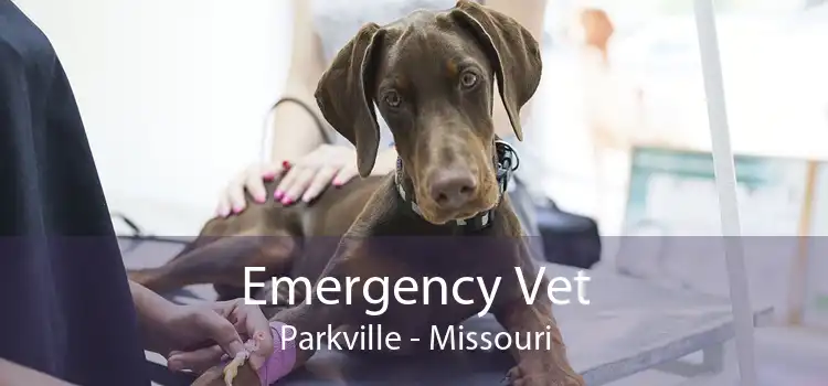 Emergency Vet Parkville - Missouri