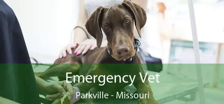 Emergency Vet Parkville - Missouri