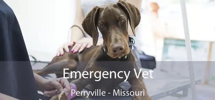 Emergency Vet Perryville - Missouri