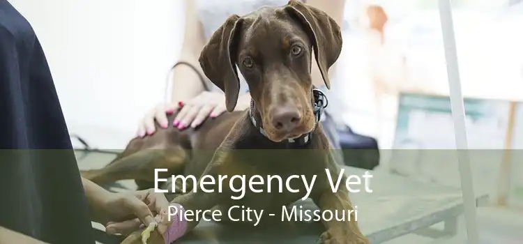 Emergency Vet Pierce City - Missouri