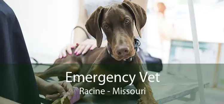 Emergency Vet Racine - Missouri