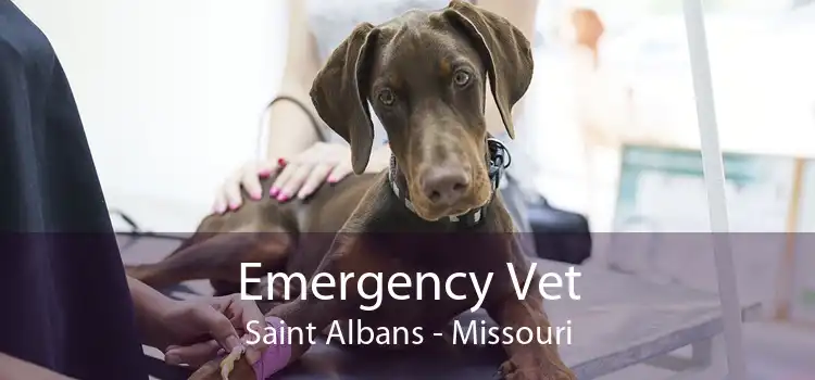 Emergency Vet Saint Albans - Missouri