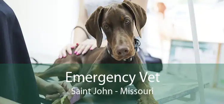Emergency Vet Saint John - Missouri