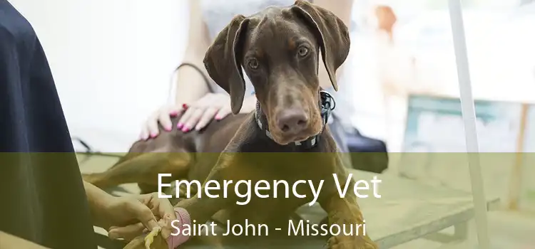 Emergency Vet Saint John - Missouri