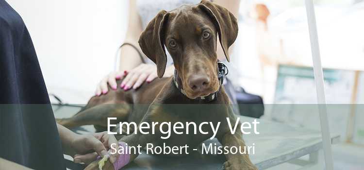 Emergency Vet Saint Robert - Missouri