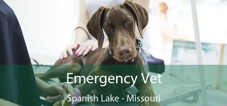 Emergency Vet Spanish Lake - Missouri