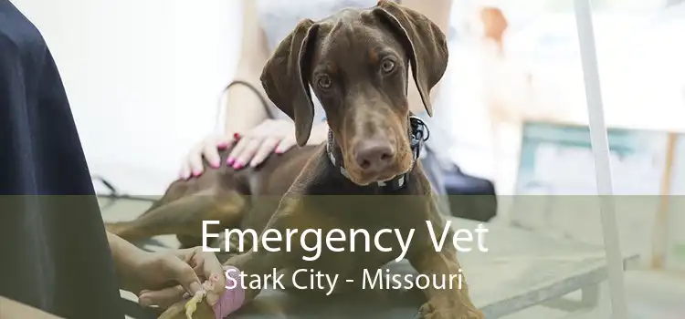 Emergency Vet Stark City - Missouri