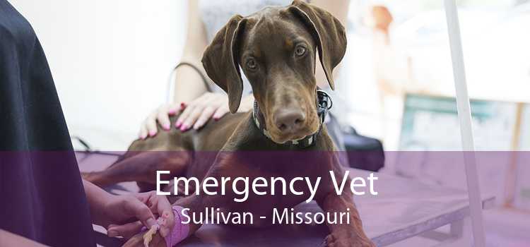Emergency Vet Sullivan - Missouri