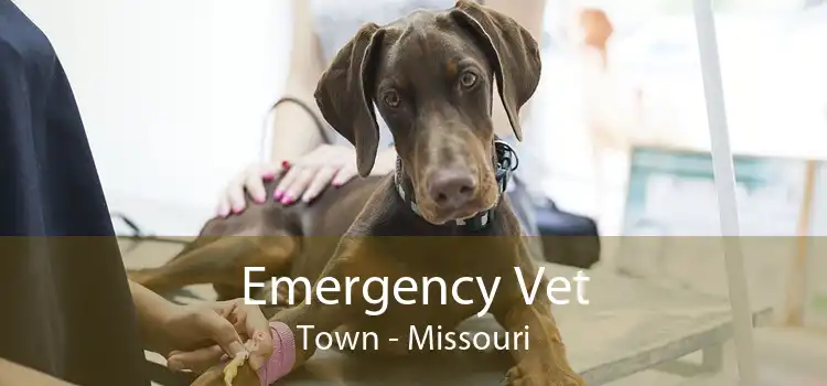 Emergency Vet Town - Missouri