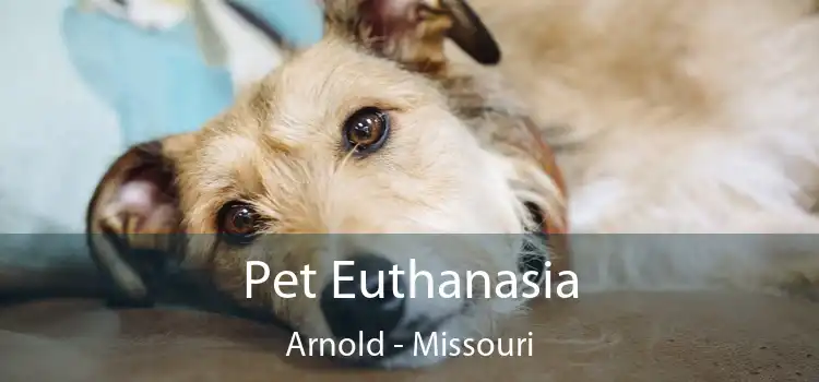 Pet Euthanasia Arnold - Missouri