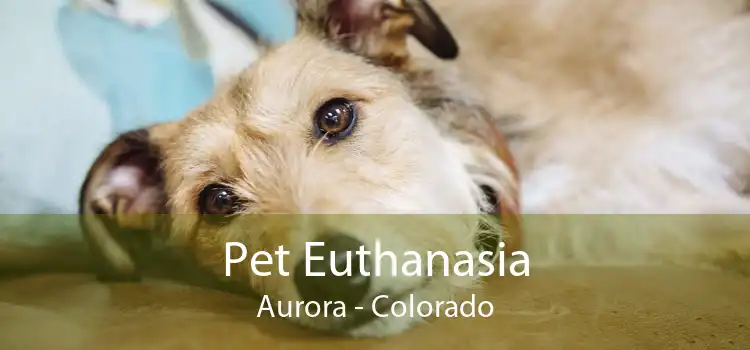Pet Euthanasia Aurora - Colorado