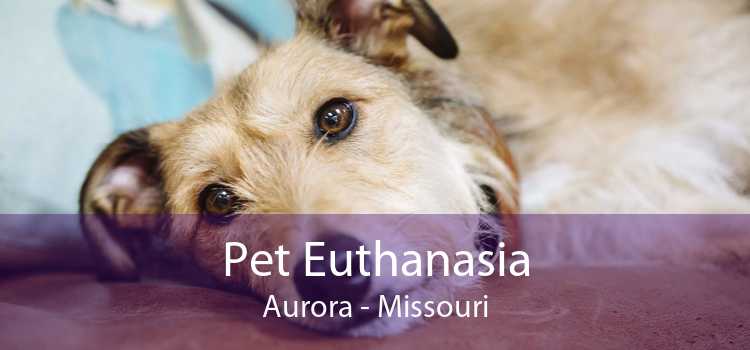 Pet Euthanasia Aurora - Missouri