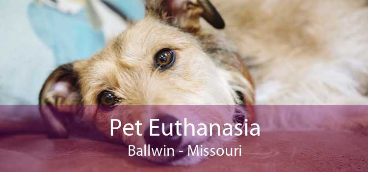 Pet Euthanasia Ballwin - Missouri