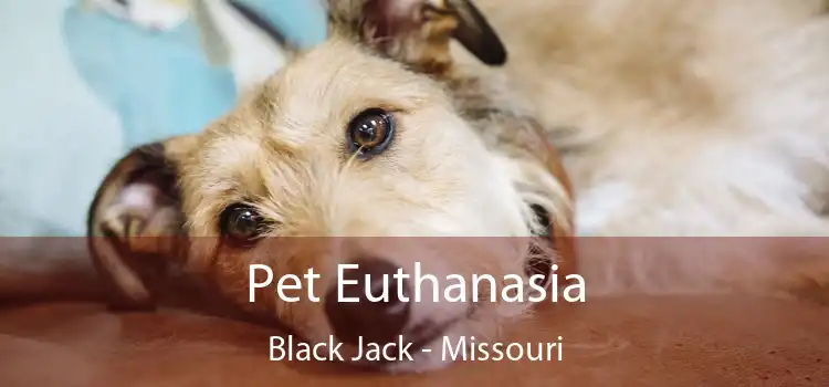 Pet Euthanasia Black Jack - Missouri