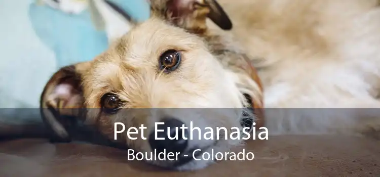 Pet Euthanasia Boulder - Colorado