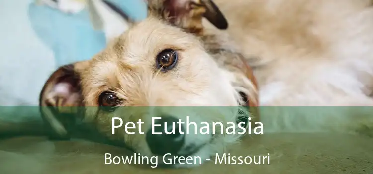 Pet Euthanasia Bowling Green - Missouri