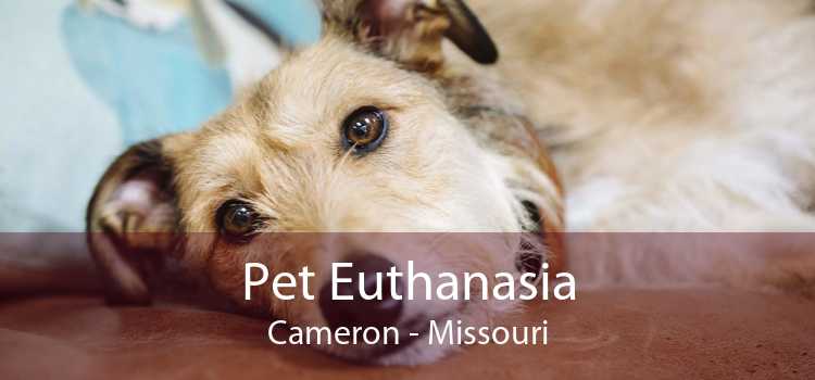 Pet Euthanasia Cameron - Missouri