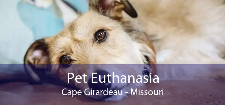 Pet Euthanasia Cape Girardeau - Missouri
