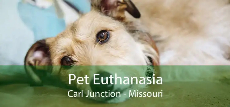 Pet Euthanasia Carl Junction - Missouri