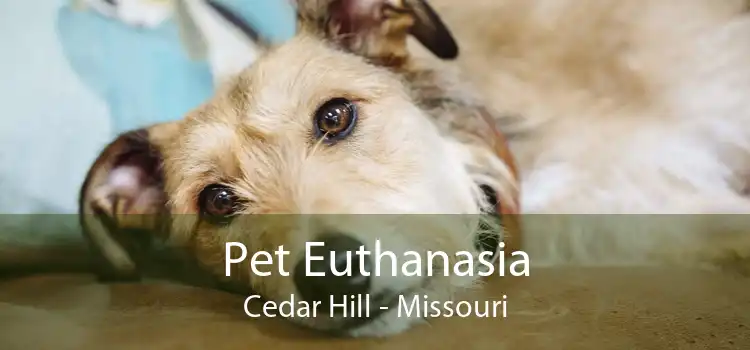 Pet Euthanasia Cedar Hill - Missouri