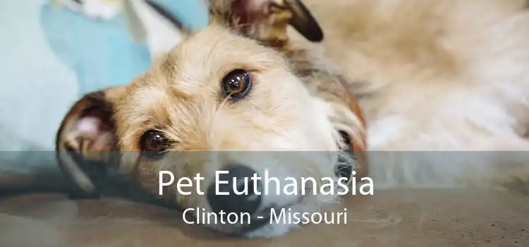 Pet Euthanasia Clinton - Missouri