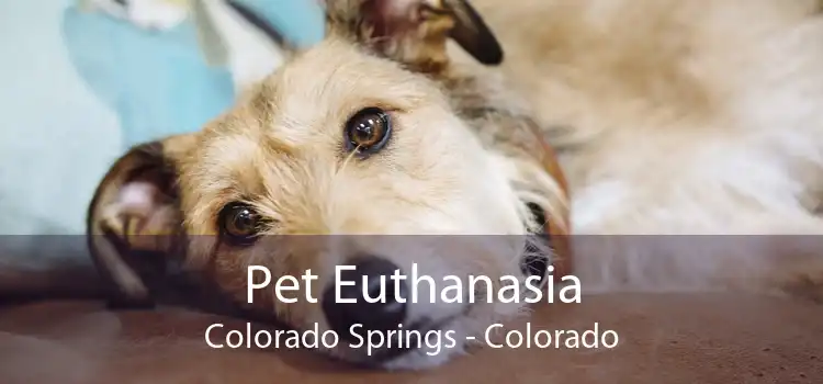 Pet Euthanasia Colorado Springs - Colorado