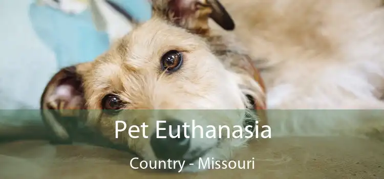 Pet Euthanasia Country - Missouri
