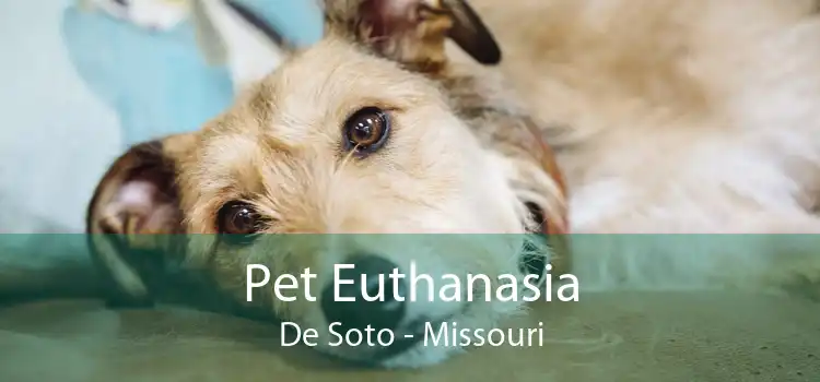 Pet Euthanasia De Soto - Missouri