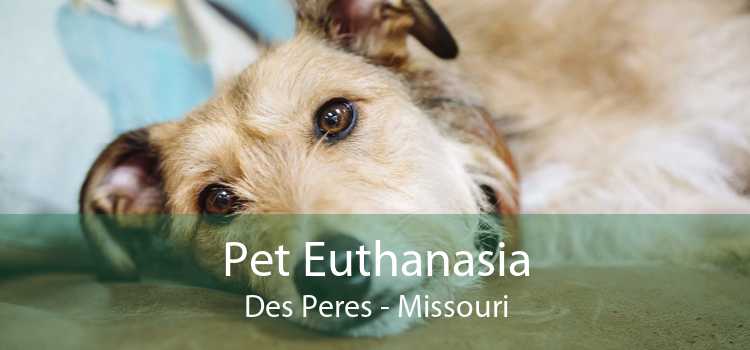 Pet Euthanasia Des Peres - Missouri