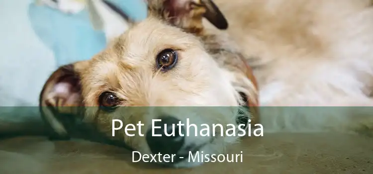 Pet Euthanasia Dexter - Missouri