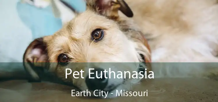 Pet Euthanasia Earth City - Missouri