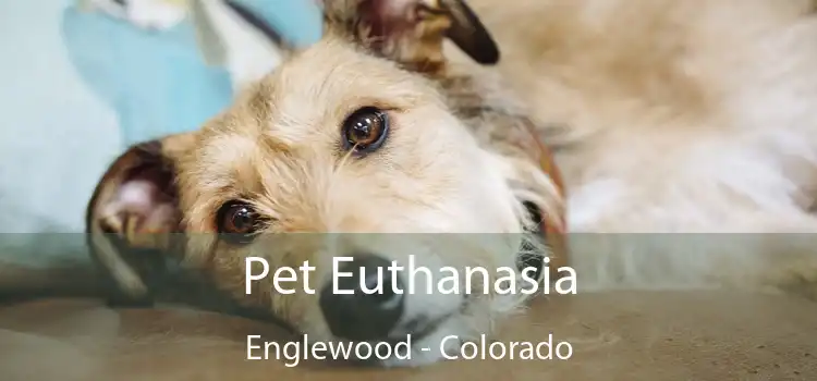 Pet Euthanasia Englewood - Colorado