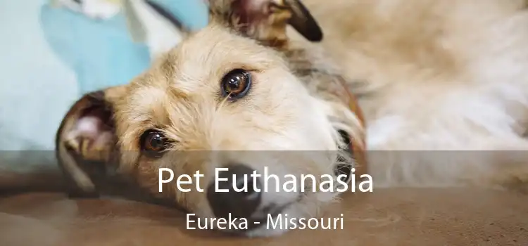 Pet Euthanasia Eureka - Missouri