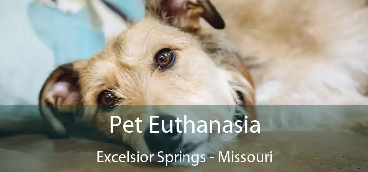 Pet Euthanasia Excelsior Springs - Missouri