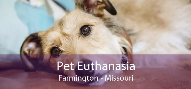 Pet Euthanasia Farmington - Missouri