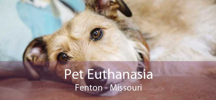 Pet Euthanasia Fenton - Missouri
