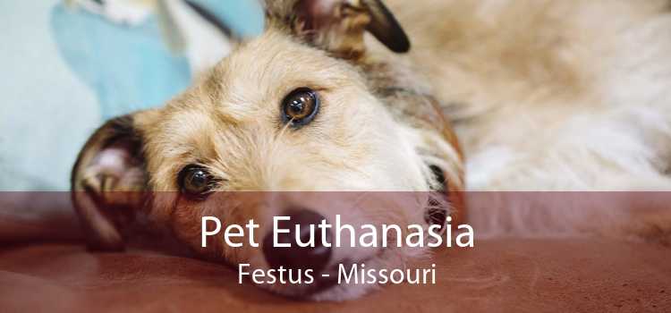 Pet Euthanasia Festus - Missouri