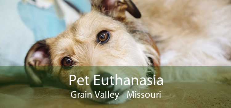 Pet Euthanasia Grain Valley - Missouri