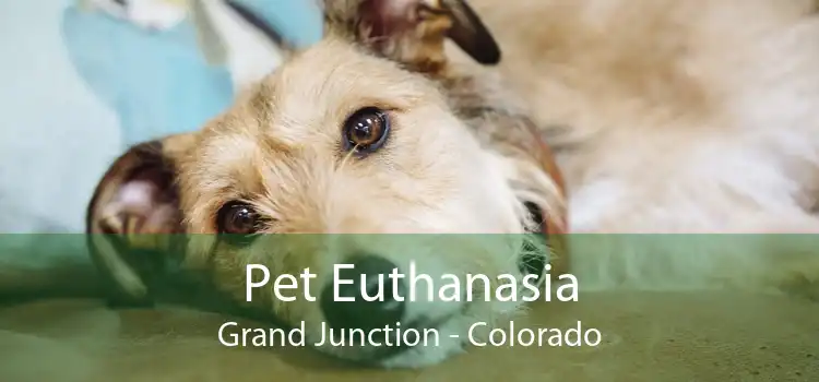 Pet Euthanasia Grand Junction - Colorado