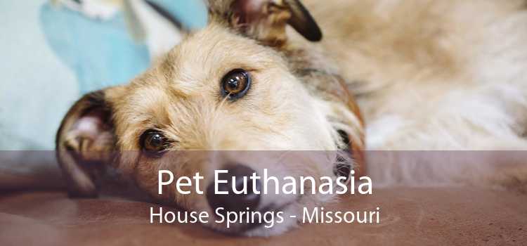 Pet Euthanasia House Springs - Missouri