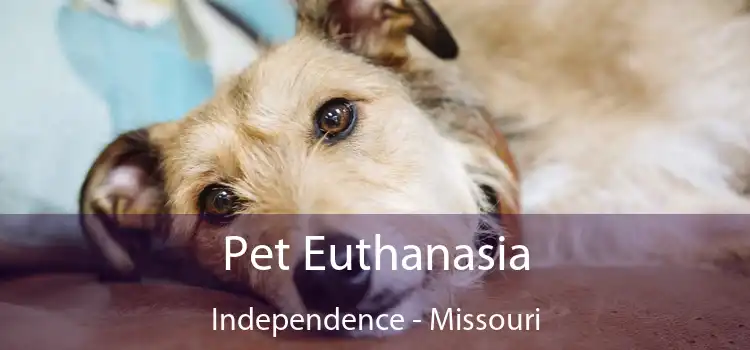 Pet Euthanasia Independence - Missouri