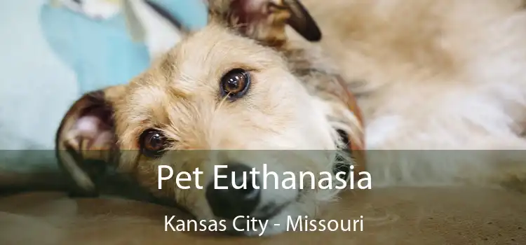 Pet Euthanasia Kansas City - Missouri