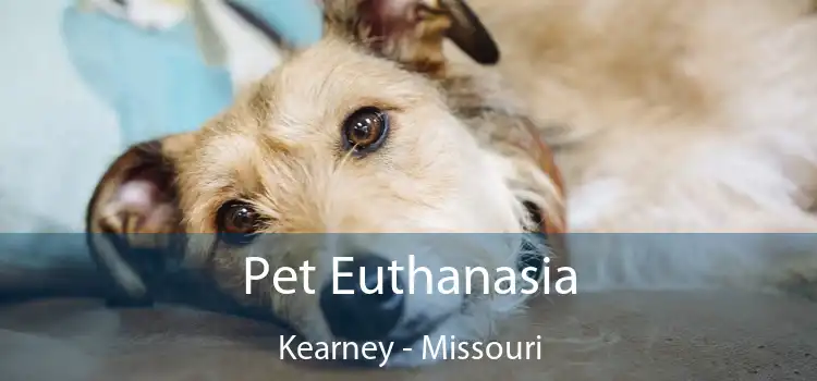 Pet Euthanasia Kearney - Missouri