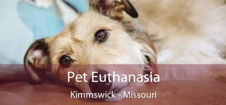 Pet Euthanasia Kimmswick - Missouri