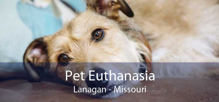 Pet Euthanasia Lanagan - Missouri