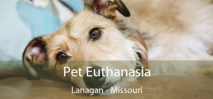 Pet Euthanasia Lanagan - Missouri